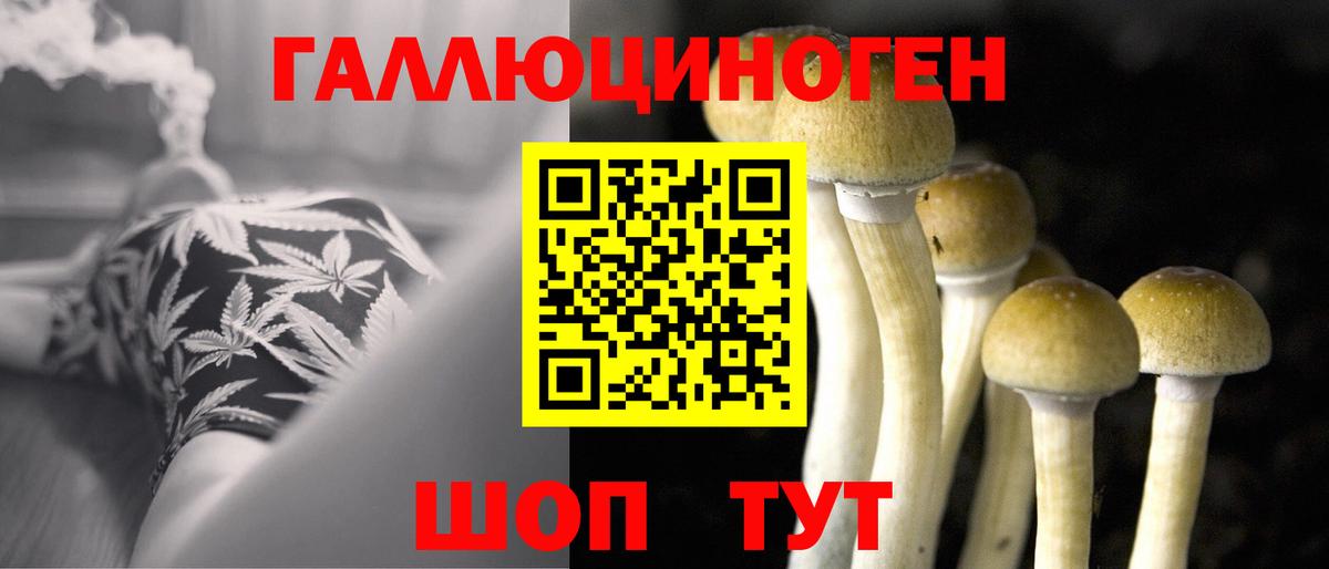 Псилоцибиновые грибы GOLDEN TEACHER  закладка  Ярцево  Вход с VPN 